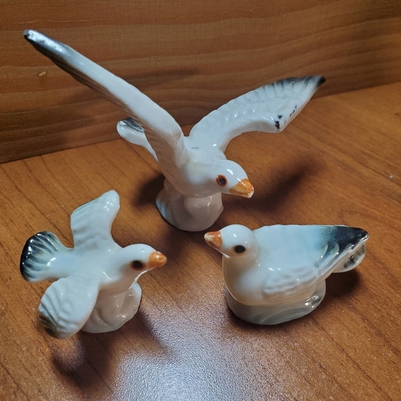 Seagull Collection - Picture 16 of 16